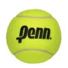 Penn 10 Inch Jumbo Inflatable Tennis Ball 1 Penn 10 Inch Jumbo Inflatable Tennis Ball -Racquet Equipment Store 581022 4 in penn ball 1a5a5814 9846 4bdd a851 b5009a69d2bd