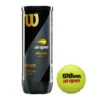 Wilson US Open Extra Duty Tennis Balls 1 Wilson US Open Extra Duty Tennis Balls -Racquet Equipment Store US Open Official Extra Duty 3ball Can Front LOGO 5135b62b bfd1 4074 9182 f51b33156923