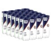Wilson Roland Garros All Court Tennis Balls - 24 Can Case -Racquet Equipment Store WILSON ALLCOURT WRT129100