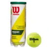 Wilson Championship Regular Duty Tennis Balls -Racquet Equipment Store WRT100301Championship Regular Duty