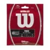 Wilson Natural Gut 17/1.25 Tennis String (Natural) 2 Wilson Natural Gut 17/1.25 Tennis String (Natural) -Racquet Equipment Store WRZ999900 Natural Gut 17 PKG